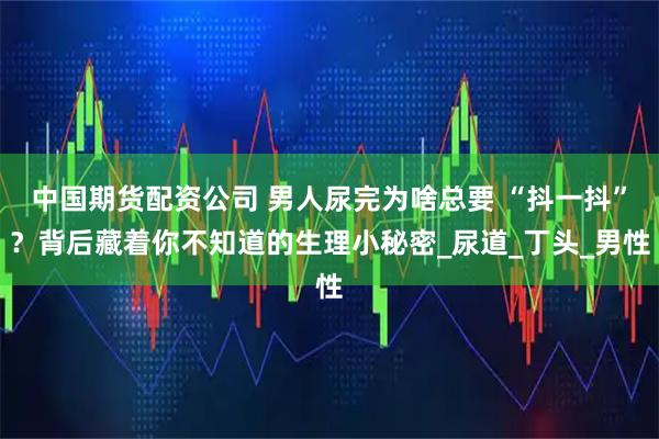 中国期货配资公司 男人尿完为啥总要 “抖一抖”？背后藏着你不知道的生理小秘密_尿道_丁头_男性