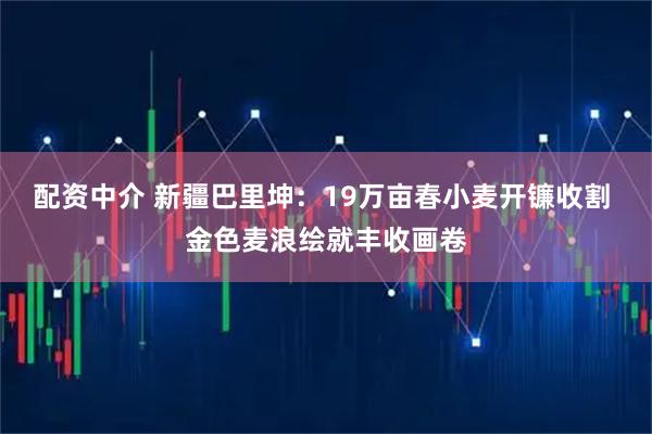 配资中介 新疆巴里坤：19万亩春小麦开镰收割 金色麦浪绘就丰收画卷